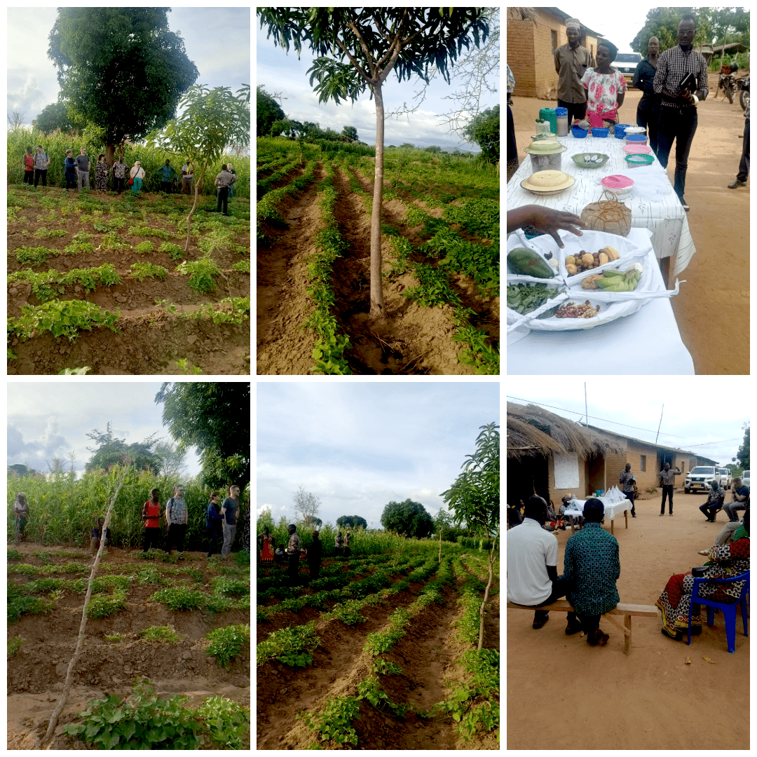 photo-collage.png-min